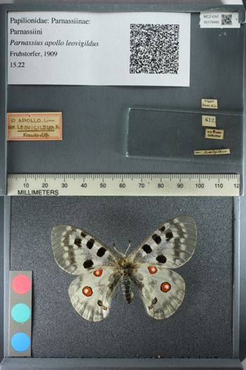 Media type: image;   Entomology 175443